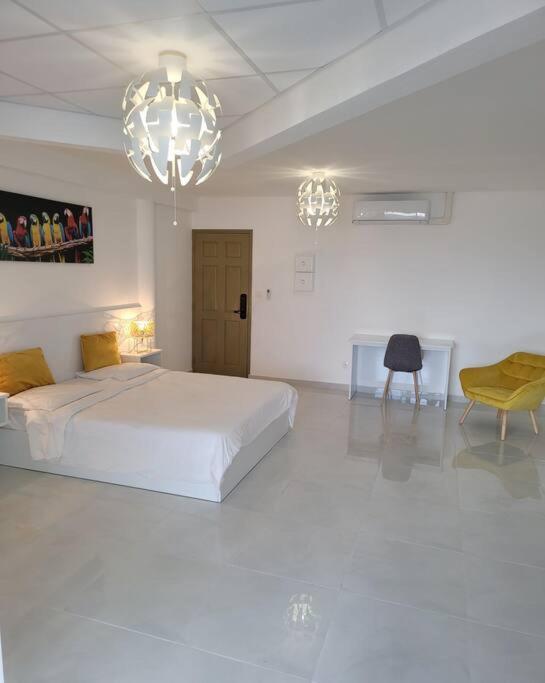 Hello Guyane Apartment Cayenne Bagian luar foto