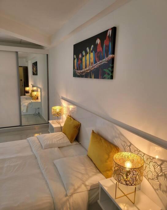 Hello Guyane Apartment Cayenne Bagian luar foto